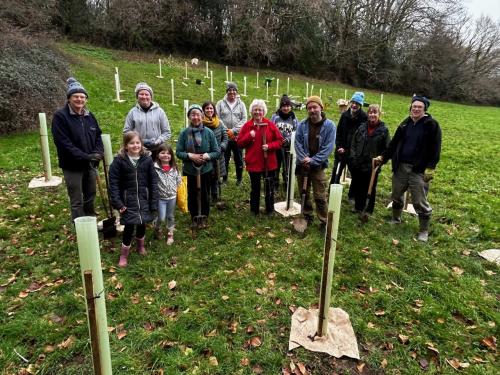 Tree Planting Bullands Field image 1