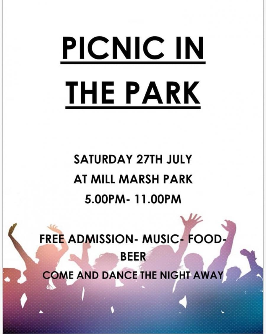 Bovey Tracey Carnival - PICNIC IN THE PARK image 1